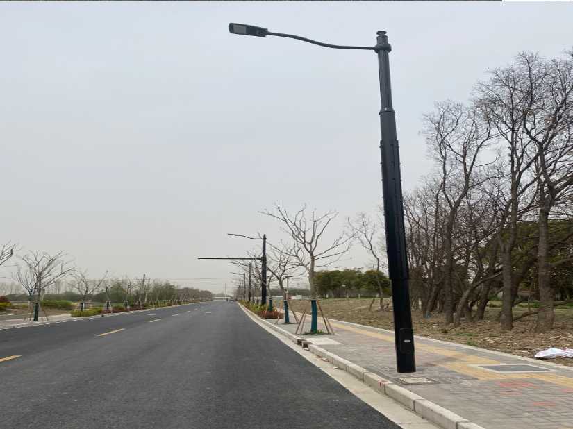 阿里地区上海综合杆 太阳能路灯工程